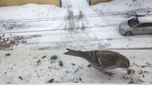 За окном смотреть онлайн