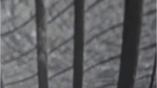 1998 Mercedes-Benz E-Class Used Cars Fort Lauderdale FL