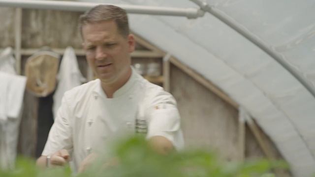 Sprouting Project At Omni Amelia Island Plantation смотреть онлайн