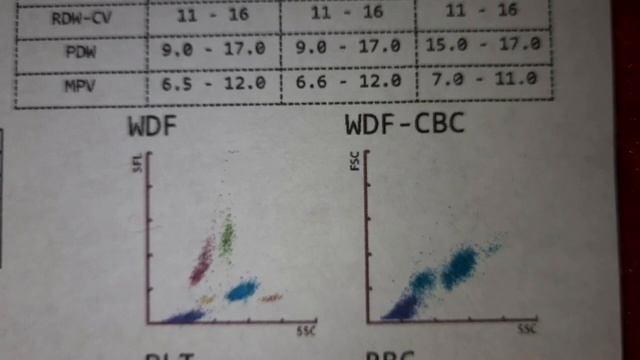 Pembacaan hasil hematology analyzer 3 part dan 5 part Edukasi ATLM смотреть онлайн