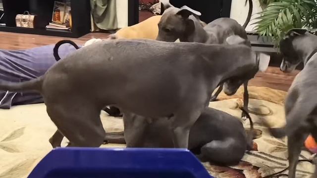 26 ноября 2019 г. смотреть онлайн