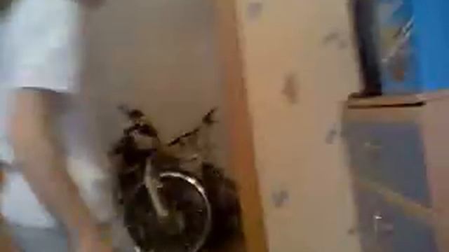 приколы дома смотреть онлайн