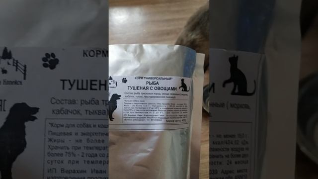 Котик готов завтракать смотреть онлайн