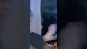 Лена Завидова