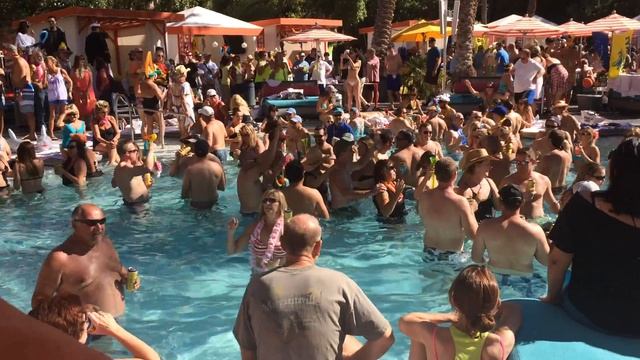 Flamingo Pool Party смотреть онлайн