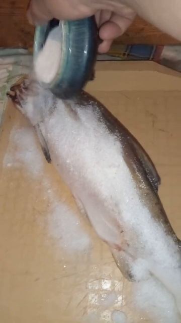 солёная рыба | горбуша | супер рецепт