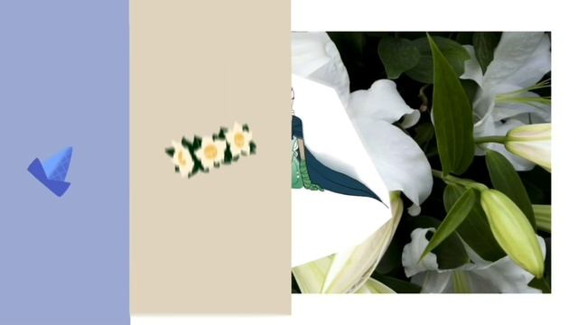 Palm tree panic🌴 | White lily cookie |Animation meme смотреть онлайн