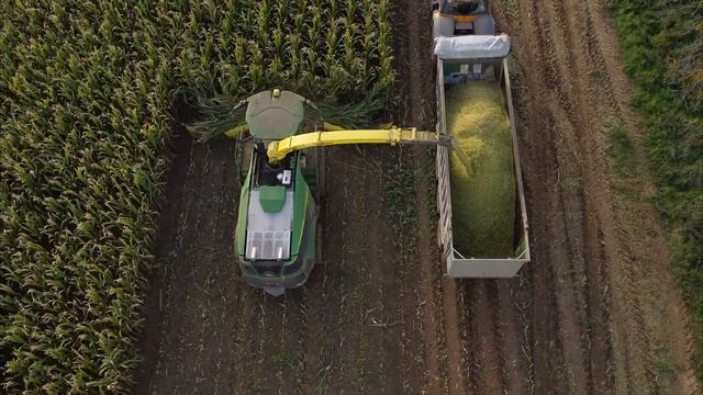 Siláže kukuřice 2022 | John Deere 9900i (Jasno Jessená Zlín) | BIG CORN SILAGE 2022 | Rols Lešany смотреть онлайн