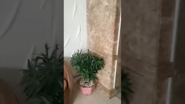 Paris NHA Trang Hotel обзор