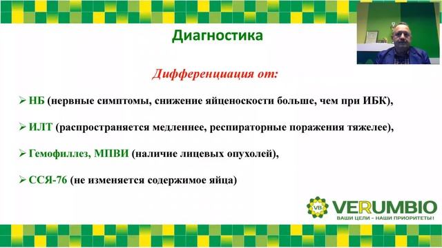 Инфекционный бронхит кур за 30 минут!