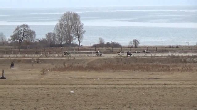 Бышты жорго 20 03 2021 Чолпон-Ата смотреть онлайн