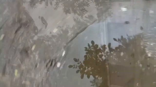 Баста / Гуф 