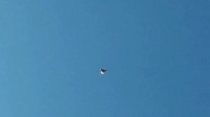 Голуби Горловки! Николаевские голуби!