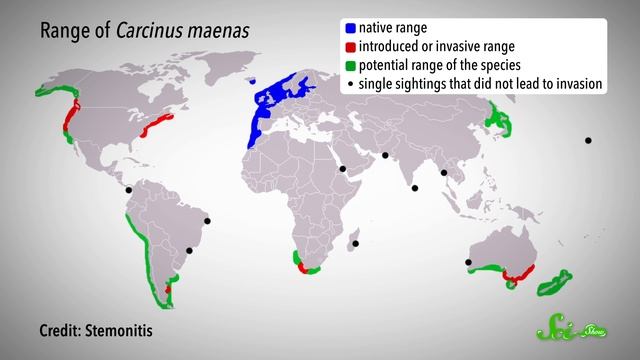 6 Invasive Species That Are Actually Saving the Planet смотреть онлайн