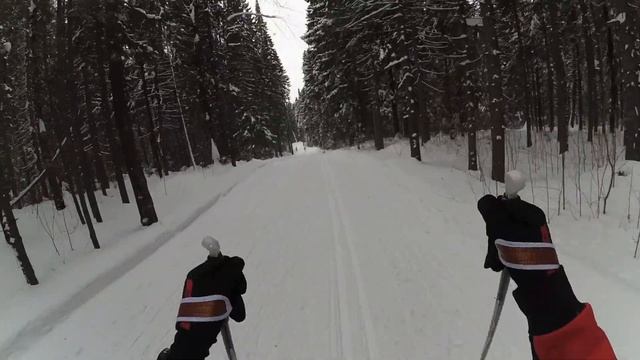 Лыжная гонка в Радужном на призы КССК (24 февраля 2019) смотреть онлайн