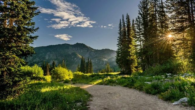СБОРНИК АКУСТИЧЕСКОЙ МУЗЫКИ смотреть онлайн