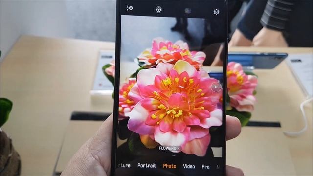 Huawei P20 Pro Camera AI Test смотреть онлайн