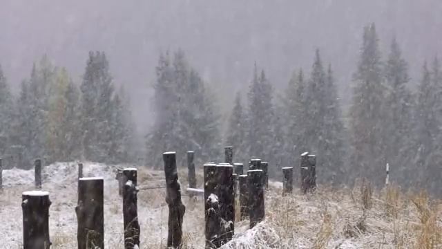 Очистите себя от проблем сейчас! Работа с родом смотреть онлайн