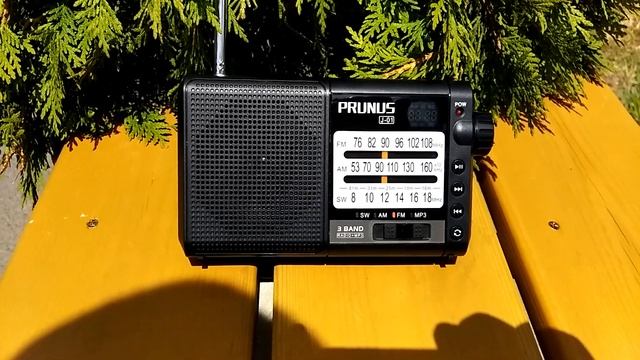Prunus J~01 band FM, AM, SW.(1) смотреть онлайн