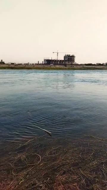 закат #fishing #рыбалка #хищник #bus #catfish #сом смотреть онлайн