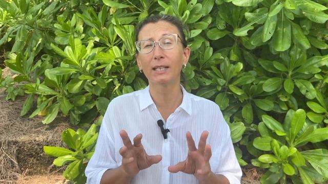 Когда начинать учить писать? смотреть онлайн