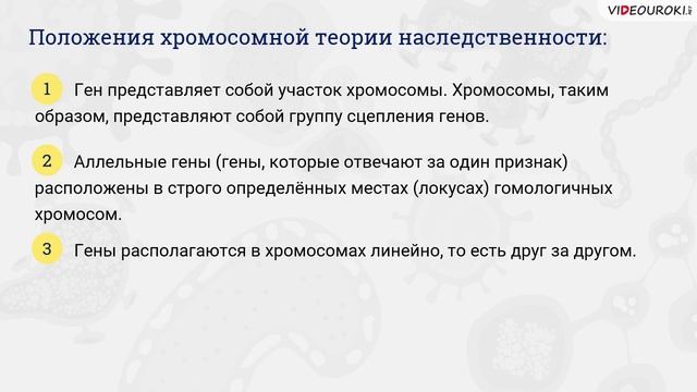 25. Сцепленное наследование. Закон Моргана. Генетика пола смотреть онлайн