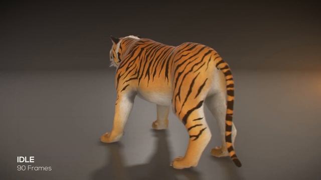 (2015) 3D Tiger (Turntable Animation) - Maya, Mudbox, E3D смотреть онлайн