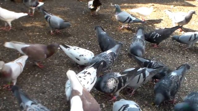 Вот какими мы были и какими мы стали смотреть онлайн