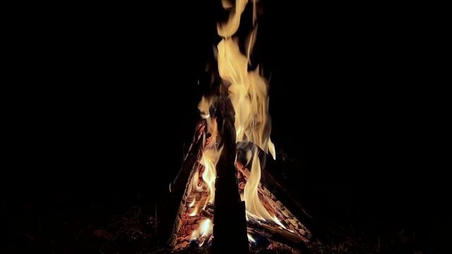 Пламя Костра и Треск поленьев 1,5 H. Горящий огонь с языками пламени