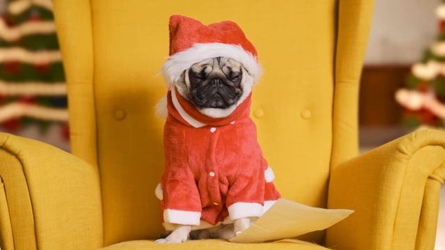 Dear Santa... | Findster Duo смотреть онлайн