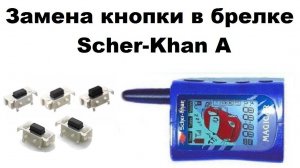 Замена кнопки в брелке Scher-Khan A