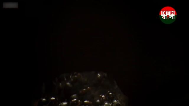 Terrible ants were found on earth смотреть онлайн