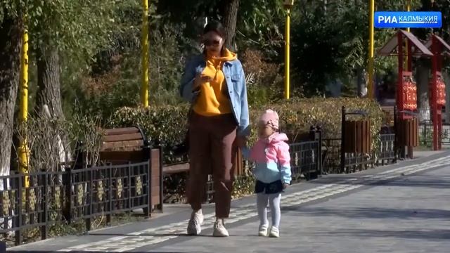 Возобновлен заявительный порядок получения выплат из маткапитала смотреть онлайн