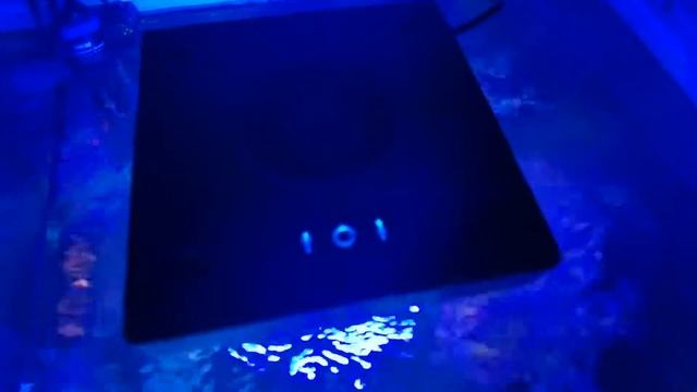 Установил свет Radion XR15 G6 Blue смотреть онлайн