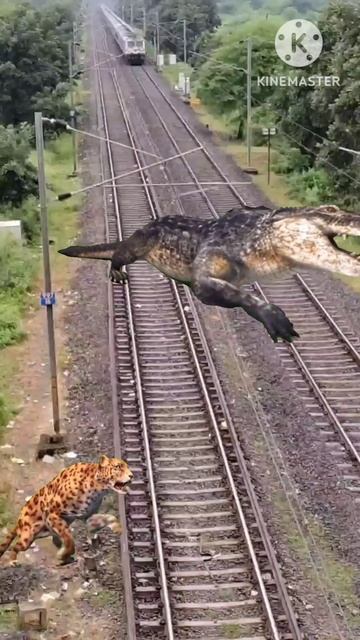 Train vs Crocodile 🐊#shorts смотреть онлайн