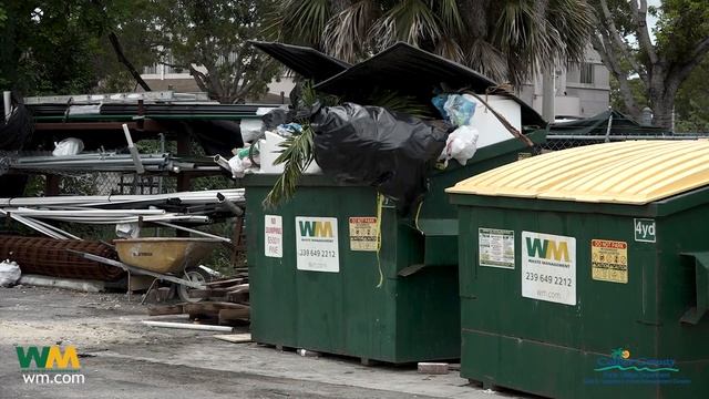 WM Clean Collier Program смотреть онлайн