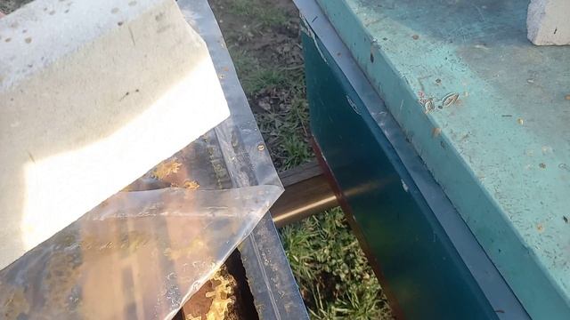 ИННОВАЦИОННЫЙ ЛАЙФХАК для пчеловодов