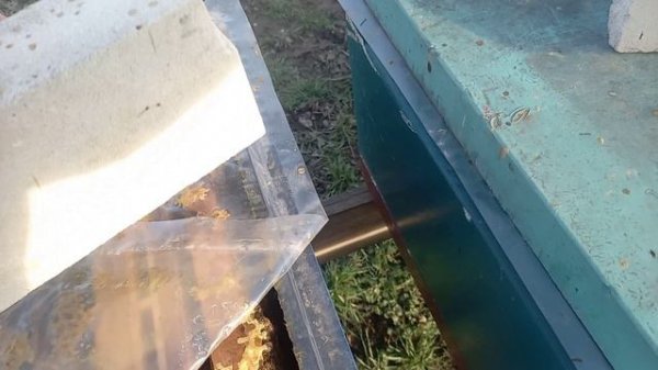 ИННОВАЦИОННЫЙ ЛАЙФХАК для пчеловодов