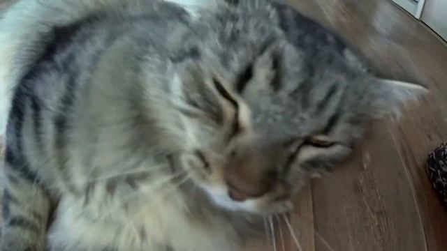 Марафет смотреть онлайн