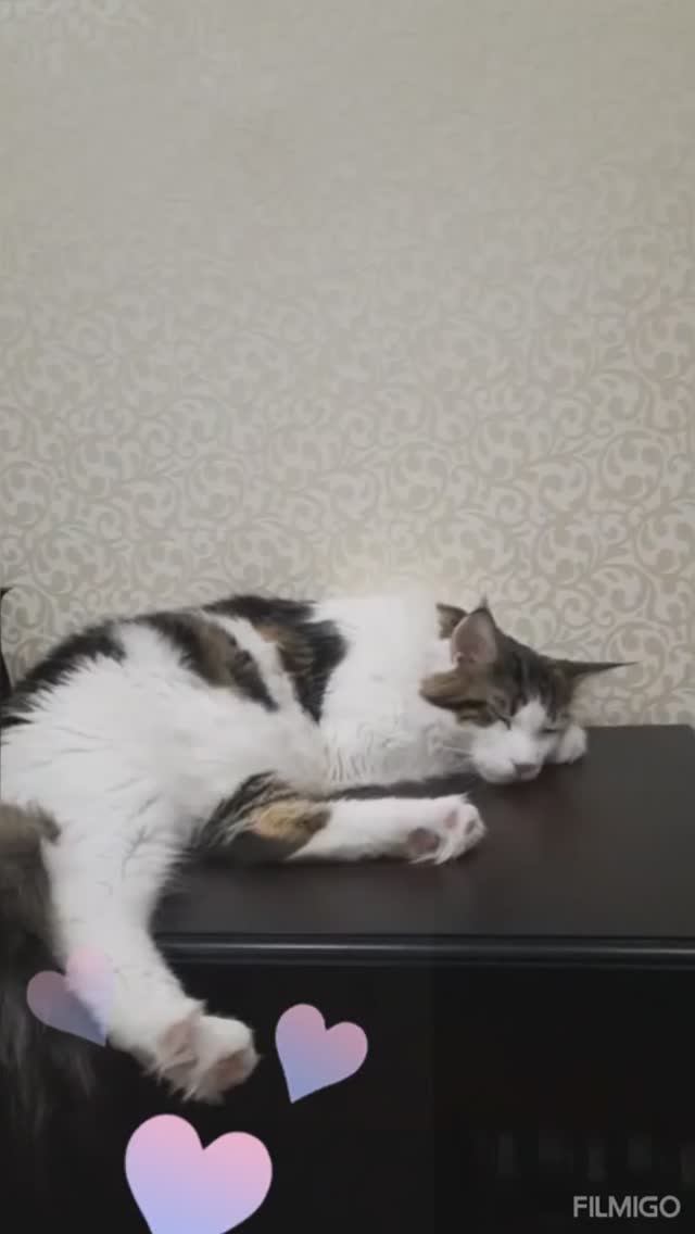 Мартын и Семен.