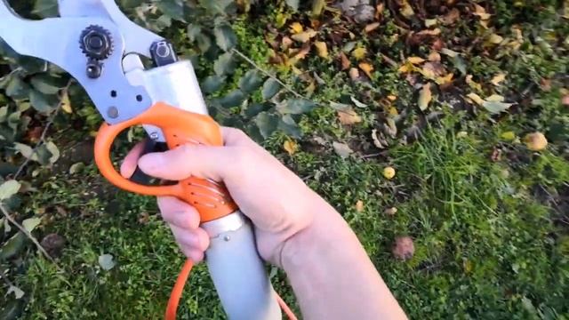 Karczowanie sadu - sekator elektryczny Fujiwara смотреть онлайн