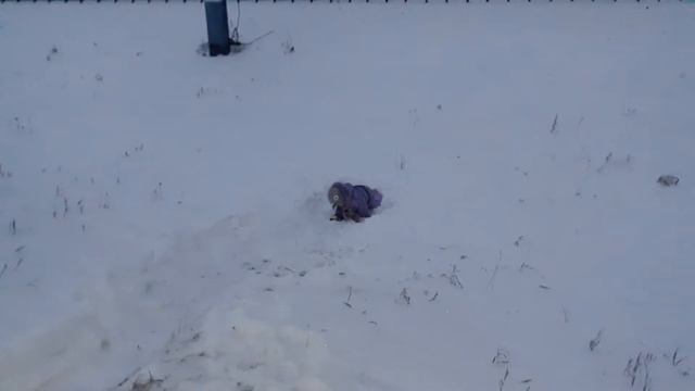 Ксюшка пампушка - покатушки