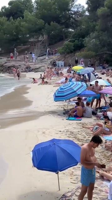 Mallorca Beach - Summer part 8 смотреть онлайн