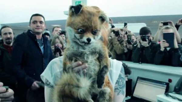 Упоротый лис в Ulmart