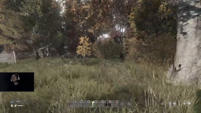 Dayz выживаю В СОЛО смотреть онлайн