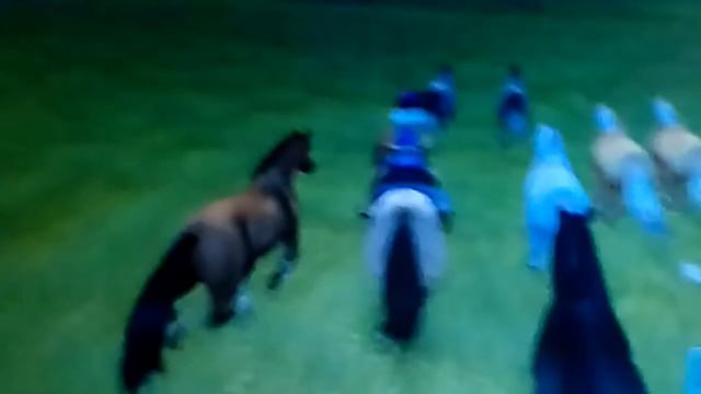 Увидела диких лошадей смотреть онлайн