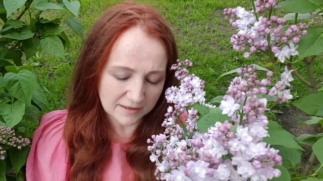 Саморез смотреть онлайн