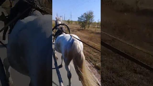 П смотреть онлайн