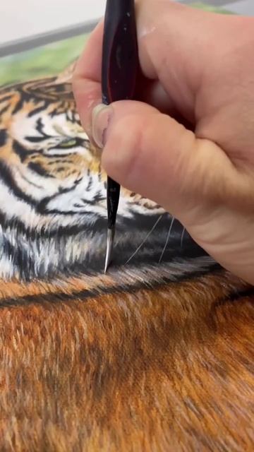 Tiger Drawing | SUBSCRIBE for more videos смотреть онлайн