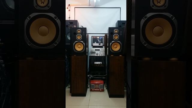 絕版日本製造(中古vintage JVC S66，紙盤8吋低音書架喇叭)made In Japan ,bookshelf Speakers(Female Vocal)
